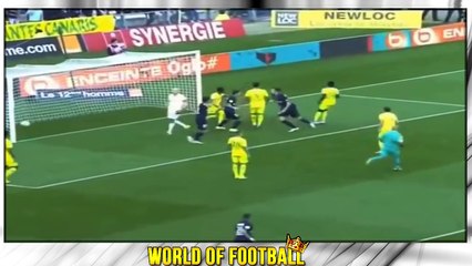ZLATAN IBRAHIMOVIC - PSG - Goals, Skills, Assists - 2015-2016  (HD)