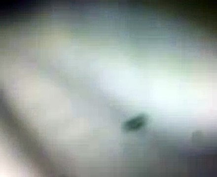 Maulana Abdul Khaliq & Maulana Umar Qasmi Madrasi president of {DARUL ULOOM DEOBAND} 1