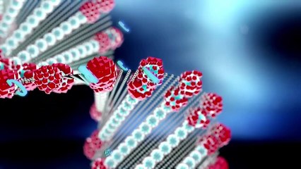 Волшебная лаборатория - Нанотехнология - Медицин�