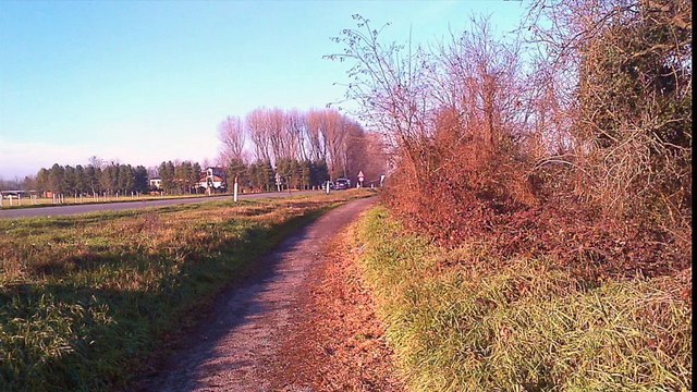 Marco Lucini, Comune di Milano Settore Verde e Agricoltura Servizio Agricoltura