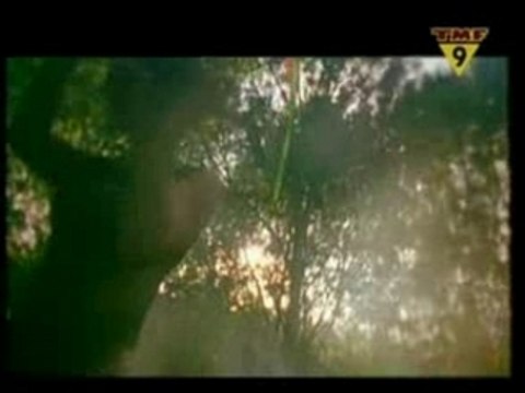 Alibi - Eternity - Armin van buuren & dj tiesto present