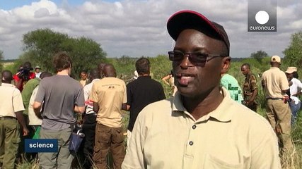 Il progetto Kenya Wildlife Service e Save the Elephants.