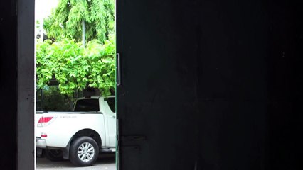 เสือร้องไห้ - เพลง หอยไลน์