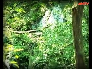 “Máu” rừng vẫn chảy - Hành Trình Phá Án Mới Nhất 2015