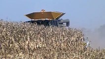 Claas Lexion 760TT Harvesting 18 Rows of Corn