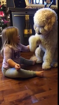 Fillette en pleine séance de dressage avec son chien docile. Adorable