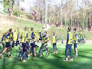 Jeu de têtes à Clairefontaine