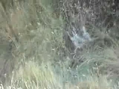 Vtt-Saut-Tremplin-Chute