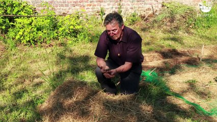 Connaître son sol par l’observation et au moyen d’analyses simples par « Les jardins s’emmêlent »