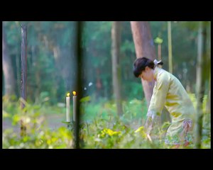 【碧血书香梦】A Scholar Dream of Woman 30 年代悬疑大剧 韩栋 张檬 巍子 吴倩