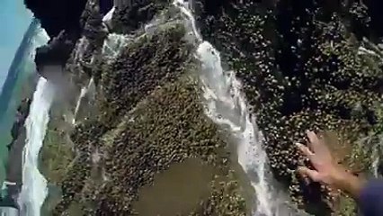 Balık için kendini yedi bitirdi