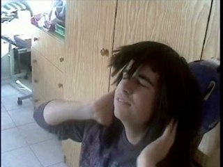 Automatic wolf styler VX3000