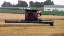 Case IH 8230 Axial-Flow Combine Harvesting Wheat
