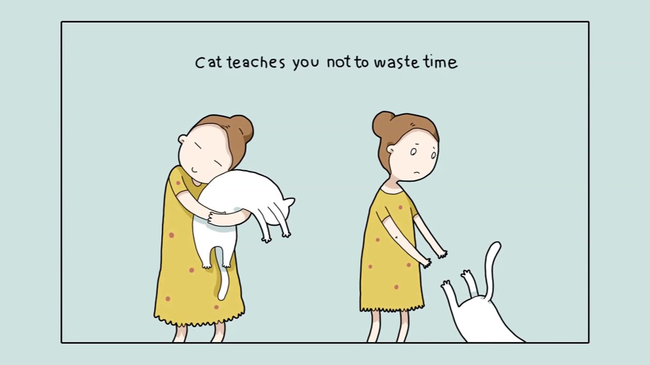 10 Awesome Benifits of Having a Cat