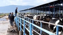 İzmir - Bakan Çelik'in Kararlı Tutumuna Egeli Süt Üreticilerinden Destek