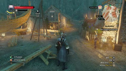 THE WITCHER 3 WALKTHROUGH PART 225 - THE SUNSTONE
