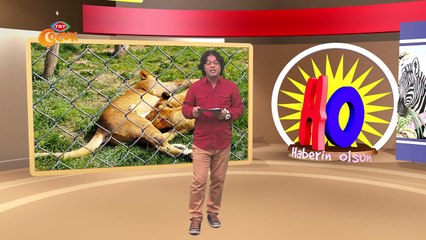 Haberin Olsun TRT Çocuk 20 temmuz 2015