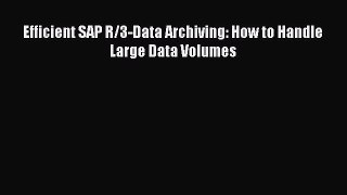 Download Efficient SAP R/3-Data Archiving: How to Handle Large Data Volumes Pdf