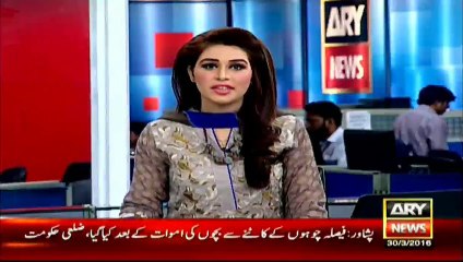 Kill Rats and Get 25 Rupees Local govt Of Peshawar