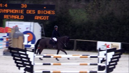 02-Reynald Angot - Symphonie des Biches - Manche 2