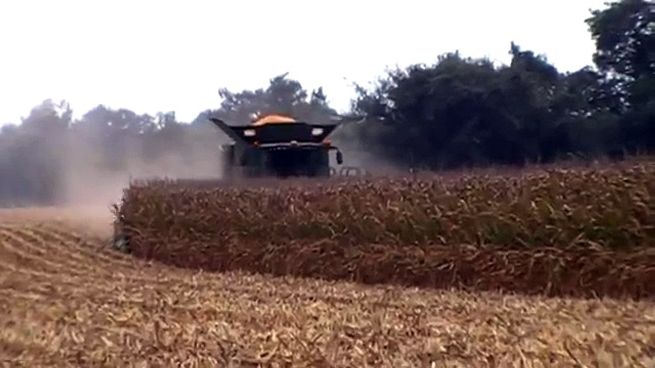 John Deere S690 Combine with 616C 16 Row Corn Head