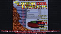 Slaying Excel Dragons A Beginners Guide to Conquering Excels Frustrations and Making