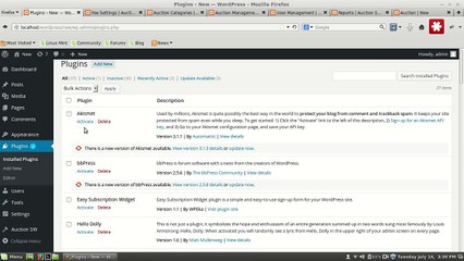 How to setup a WordPress Auction website using WPAuctionSoftware (WordPress Auction Plugin)