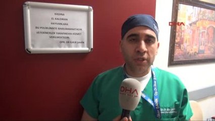 Doktordan Kadına Şiddete Karşı İlginç Tepki