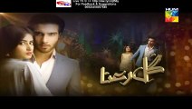 Gul e Rana Hum Tv Drama Next Episode 13 Promo (23 January 2015)
