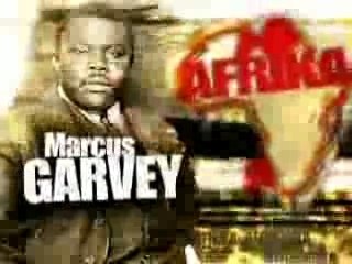 Rockin' Squat - Libre