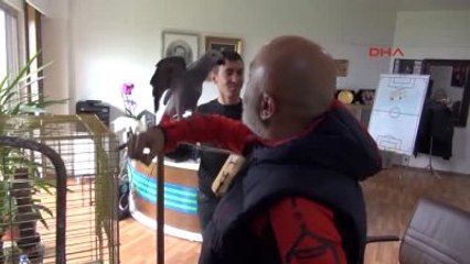 Hikmet Karaman Horon Tepti