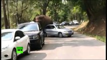 Love is cruel: Elephant smashes cars after getting dumped in China