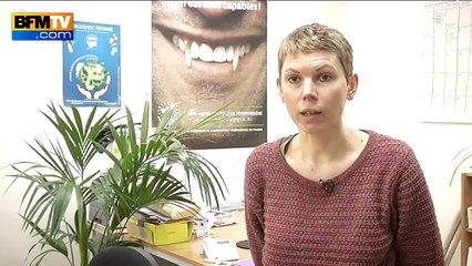 Les Français de plus en plus séduits par le végétarisme