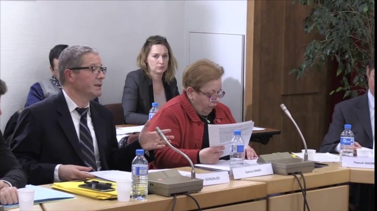Conseil municipal 24-03-16