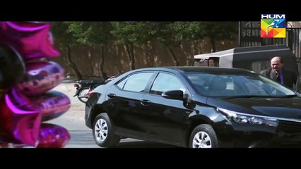 Zindagi Tujh Ko Jiya Episode 22 Full HUM TV Drama 29 March 2016