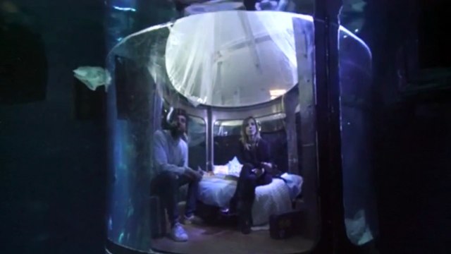 Passeriez-vous la nuit parmi 35 requins à l'Aquarium de Paris ?