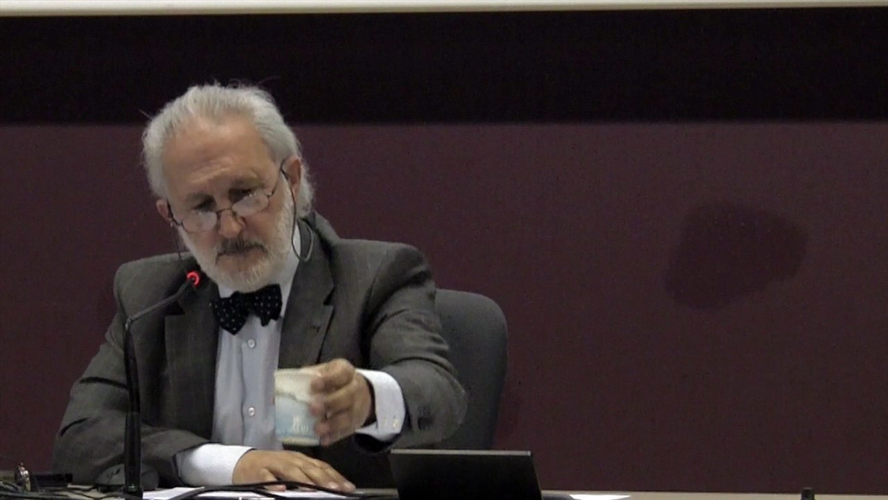 Conférence APAJH - Handicap psychique et citoyenneté (2 / 4) - Laurent El Ghozi - 1ère partie