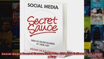 Social Media Secret Sauce From 0 to 200000 Followers in 1 Hour a Day