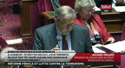 Réforme pénale et lutte contre le terrorisme - Les matins du Sénat (30/03/2016)