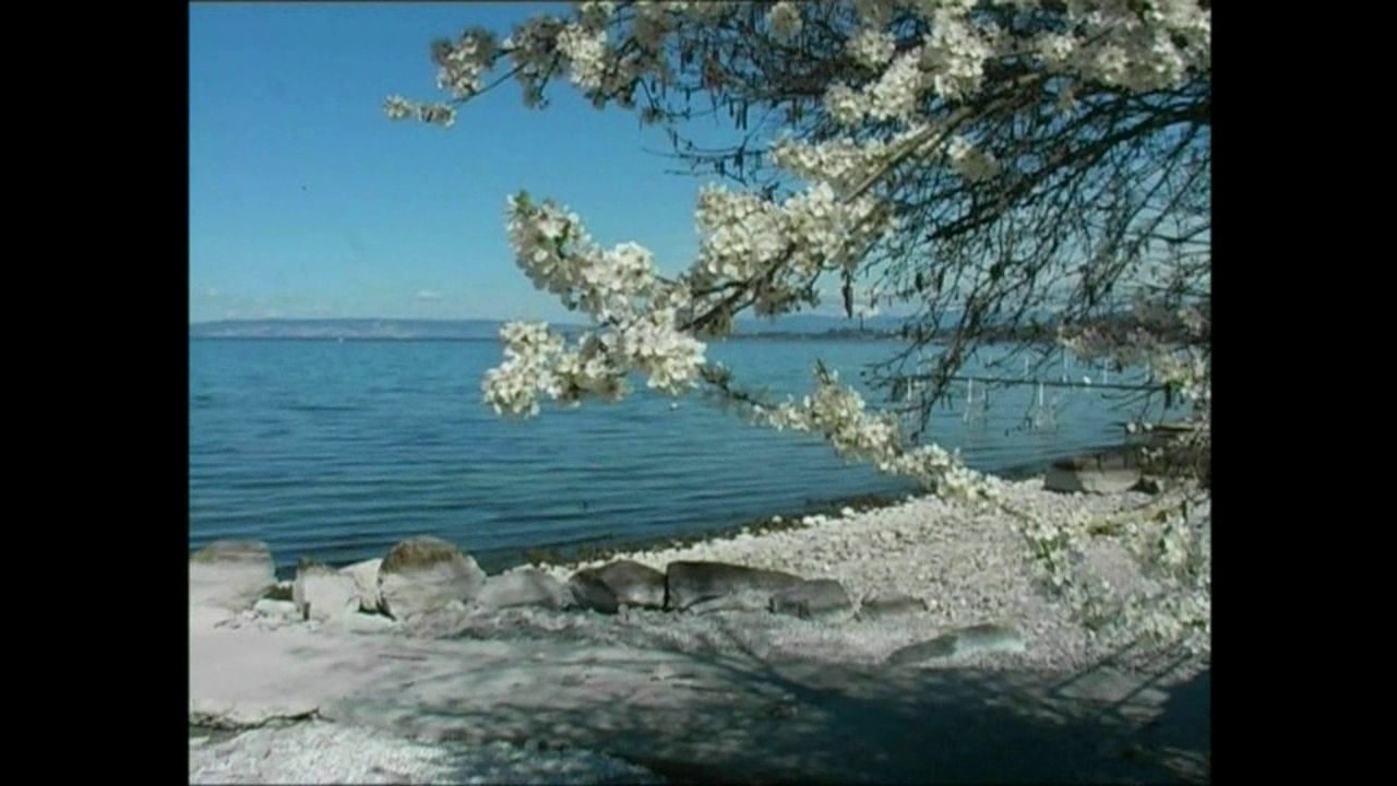 Anthy sur Léman, Port de Séchex