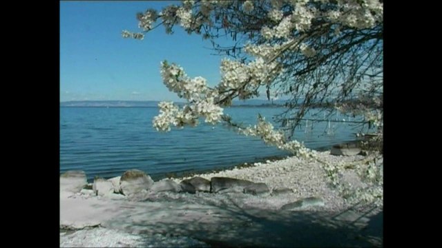 Anthy sur Léman, Port de Séchex