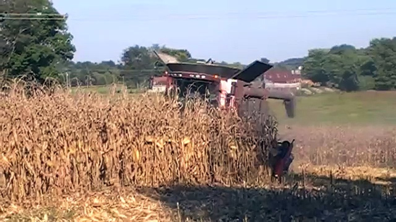 Case IH 9230 Axial-Flow with a 12 Row Geringhoff Rota Disc Elite Corn Head