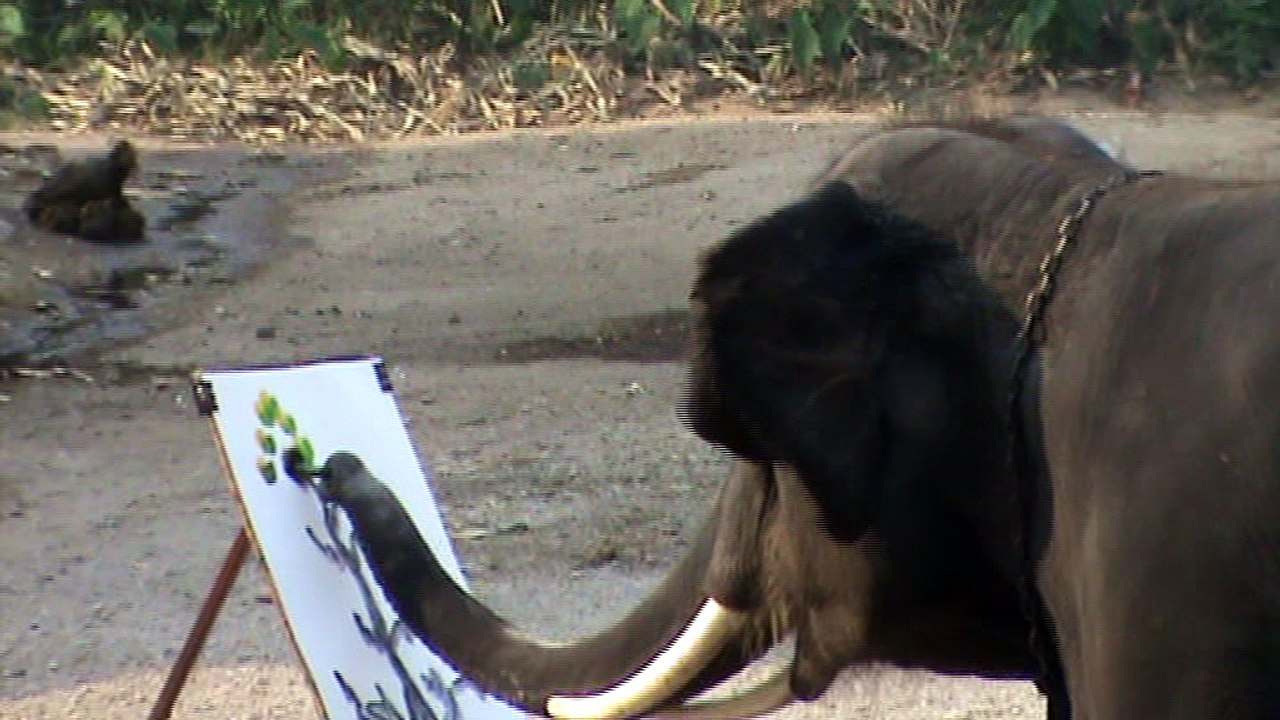 thaïlande les éléphants artistes
