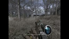 COD MW 7