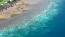 La grande barrière de Corail va disparaître dans quelques mois en Australie ! Catastrophe Ecologique