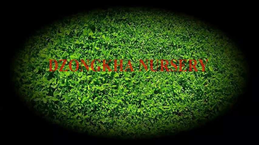 dzongkha nursery rhymes