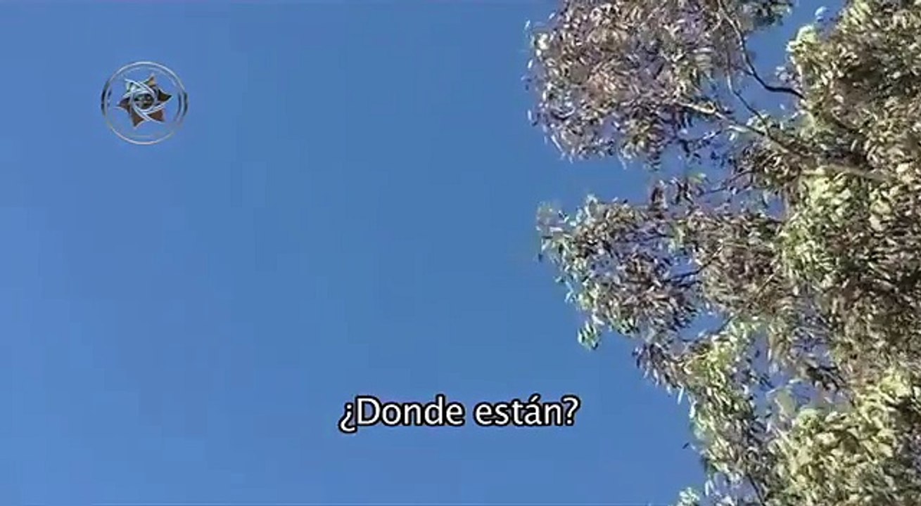 Impresionante formación de más de 100 Ovnis en California/ Amazing group