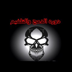 BD2.Net Injector دمج سيرفر مع برنامج باستخدام برنامج
