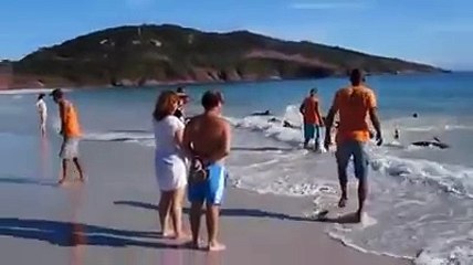 بالهوارية اليوم كارثة طبيعية شاهد ما الذي يحصل