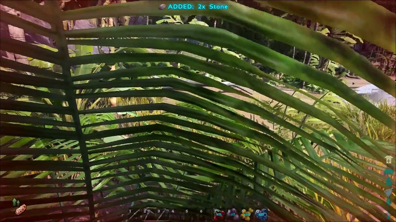 Ark Survival Evolved - (gameplay) - Ep. 2 Dodos!